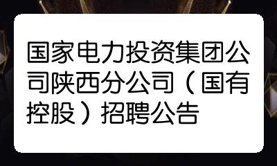 国家电力投资集团公司陕西分公司国有控股招聘公告