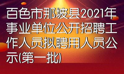 广西百色市考试网_百色市人事考试中心_百色市人才网事业单位招聘