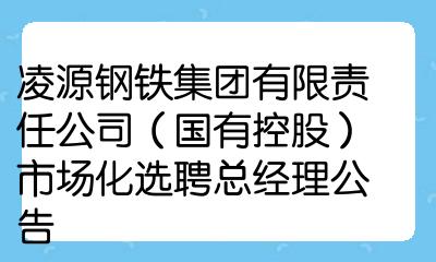 凌源钢铁集团有限责任公司(凌源钢铁集团有限责任公司官网)