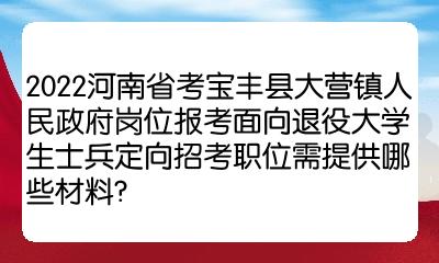 2022河南省考寶豐縣大營鎮人民政府崗位報考面向退役大學生士兵定向招