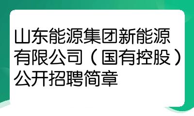 山东能源集团新能源有限公司国有控股公开招聘简章