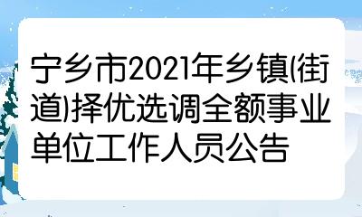 宁乡市2021年乡镇(街道)择优选调全额事业单位工作人员公告