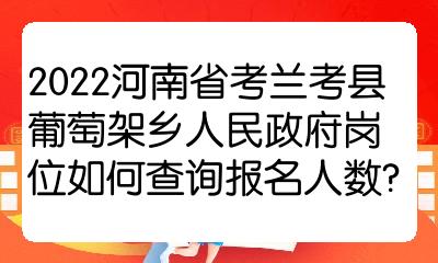 2022河南省考兰考县葡萄架乡人民政府岗位如何查询报名人数